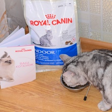 Акция Royal Canin - Kitten&Puppy College от Royal Canin (Роял Канин): «Подарок для котенка» (2014)