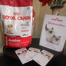 Корм для щенка от Royal Canin