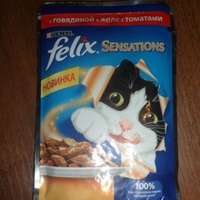 Кошкин корм от Felix