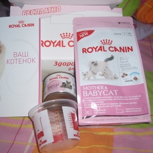 «Подарок для котенка» от Royal Canin