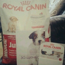 Подарок от Royal Canin от Royal Canin