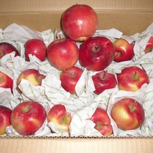 мои 10 кг яблок уже дома) от Сады Придонья