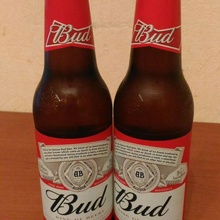 Пиво от Bud