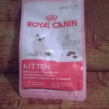 Корм для кошечки от Royal Canin