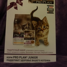 Мелким котам- большие подарки:) от Pro Plan