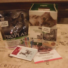 Подарок от Proplan от pro plan для стерилизованных кошек