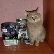 корм для моего кота ))) от http://proactions.ru/actions/lenta/22240.html