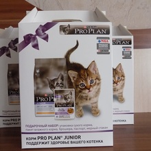 корм для котят от Pro Plan