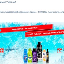 3 500 рублей на покупки к новогоднему столу от Schwarzkopf