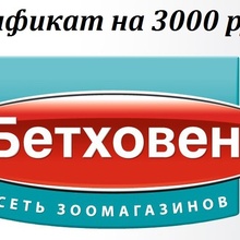 сертификат на 3000 рублей в ЗооМагазин от фотоконкурс вк