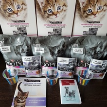 Подарочные наборы корма для котят PRO PLAN® JUNIOR DELICATE с комплексом OPTIDIGEST® от PRO