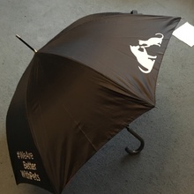 Зонт от Purina
