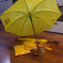 Зонты от Salton