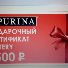 Purina (Пурина): «Вместе лучше! Получать подарки» (2018) от Purina