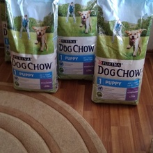Dog-Chow годовой запас корма от Purina (Пурина): «Сделай питомца героем Дог Чау!» (2017)