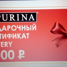 Purina (Пурина): «Вместе лучше! Получать подарки» (2018) Сертик дочка выиграла. от Purina