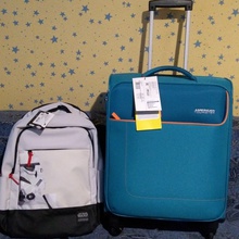 чемоданчик и рюкзак от Whiskas