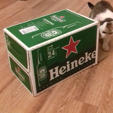 Ящик пива от Heineken