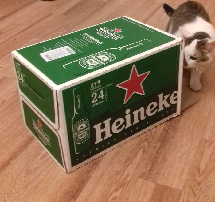 Приз акции Heineken «Зажги звезду»
