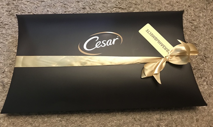 Приз акции Cesar «CESAR - Связаны вместе 2019-2020»