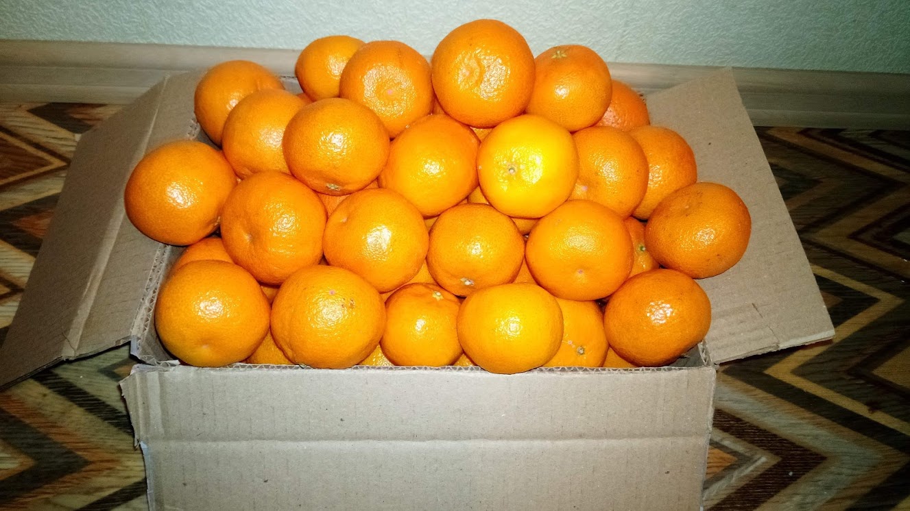 Ихние секреты о пятистах страницах килограмм мандаринов