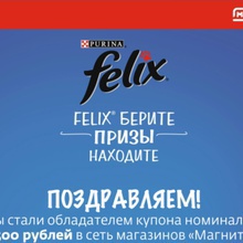 Приз акции Felix «Felix берите - призы находите»