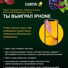 Смартфон iPhone XR от Curtis