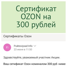 Сертификат Ozon на 300 рублей от Фруктовый Сад