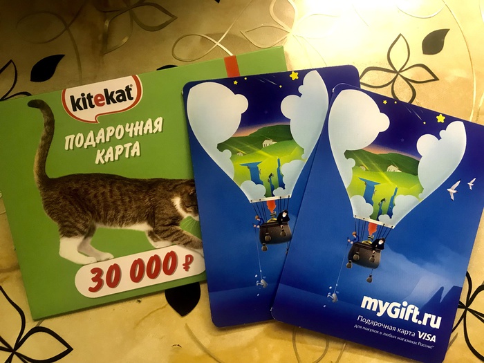 Приз акции Kitekat «Квартира и ремонт от кота Бориса!»