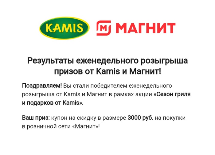 Приз акции Kamis «Сезон гриля и подарков от Kamis»