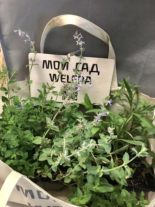 Приз акции Weleda «Твой сад – твой вклад в экологию с Weleda»