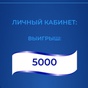 Приз 5000р