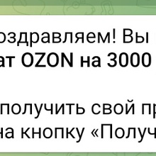 Сертификат OZON 3000 рублей от Svetocopy