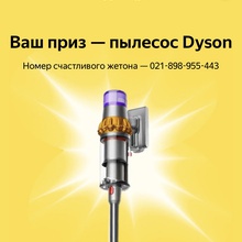 Пылесос Dyson от Яндекс Go