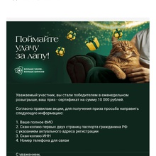 Сертификат Ozon 10.000 от Cattera