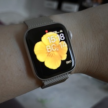 Apple Watch от Vulkan