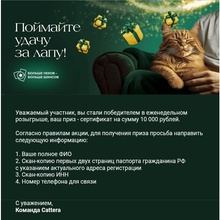 Сертификат от Cattera