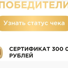 300000 руб от Loreal Paris