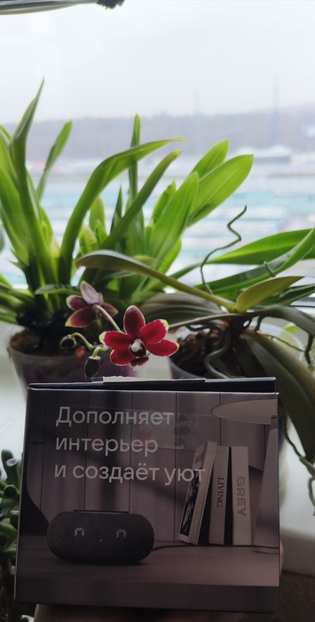 Приз акции Tiswell «Выбирайте инновации для родных улыбок»