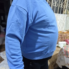 логслив от Orbit