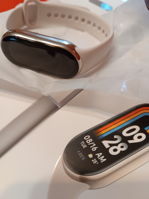 Приз акции Fructis «Фестиваль Garnier FRUCTIS в сети Магнит»