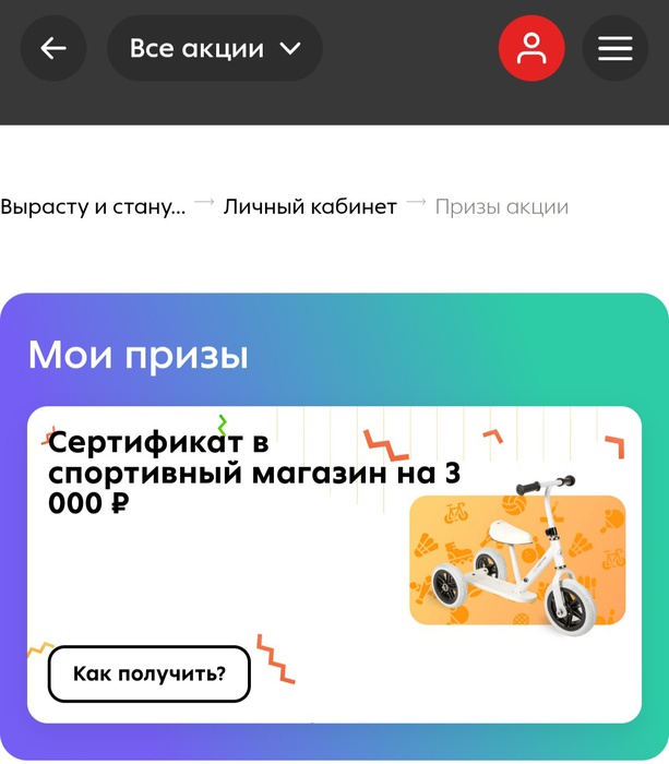 Приз акции Барни «Вырасту и стану..»