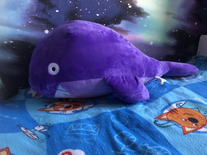 Приз акции Kitfort «КитСпин»