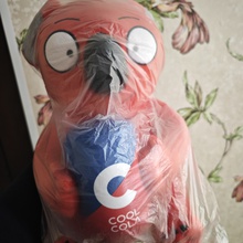 Коала от CoolCola