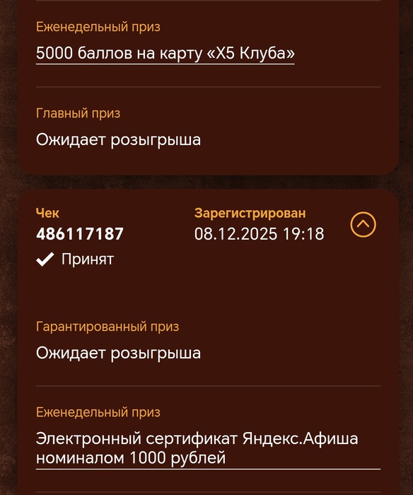 Приз акции Snickers «Забегался? Сникерсни в «Пятерочке»!»