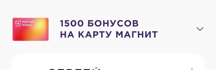 Приз акции Elseve «Фестиваль Elseve в сети Магнит»