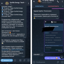 Пополнение аккаунта стим от Gorilla Energy