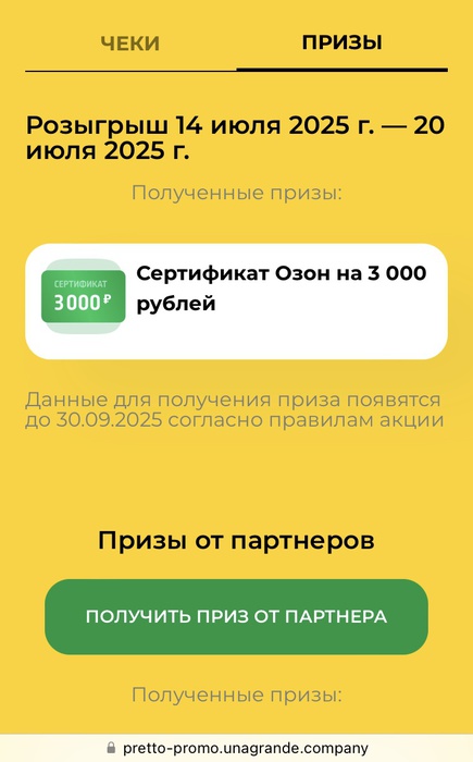 Приз акции Pretto «Pretto – это»