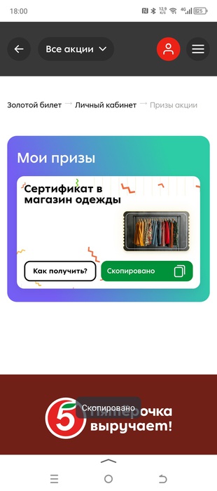 Приз акции Alpen Gold «Найдите Золотой билет с Alpen Gold в Пятёрочке!»