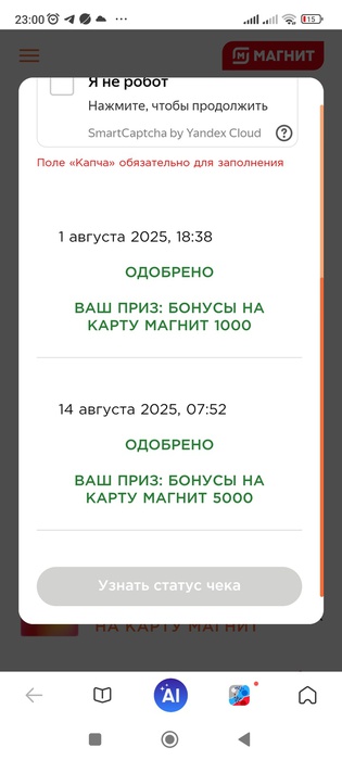 Приз акции Fructis «Фестиваль Fructis в сети Магнит»